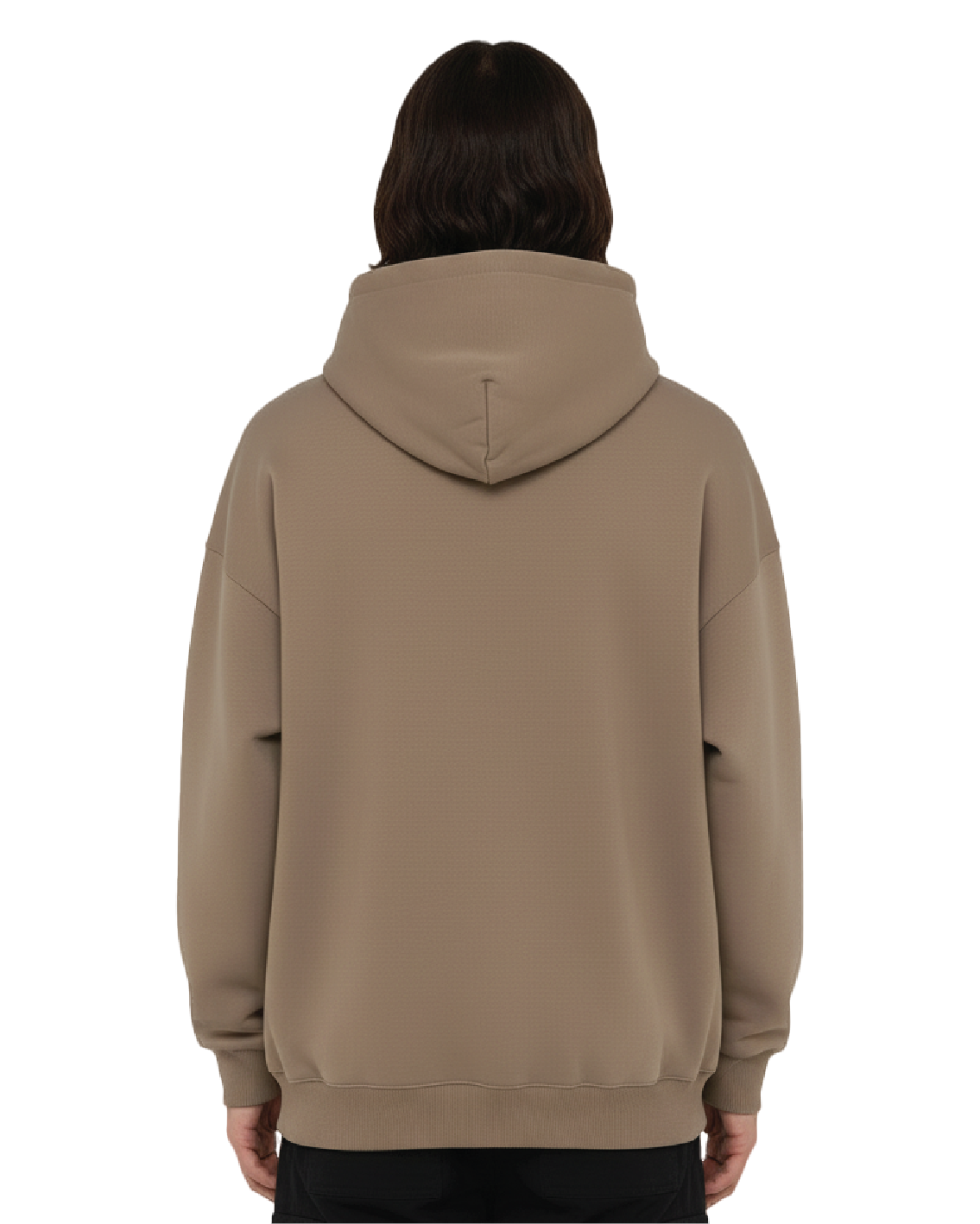 Embroidered Beetle Hoodie