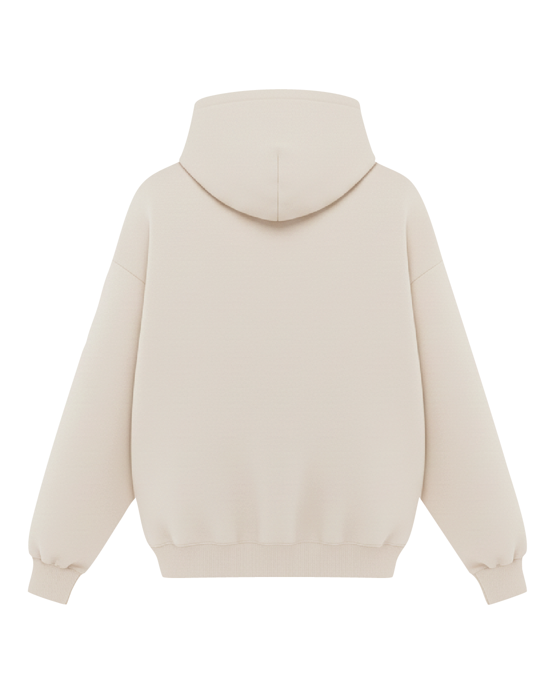 Embroidered Beetle Hoodie