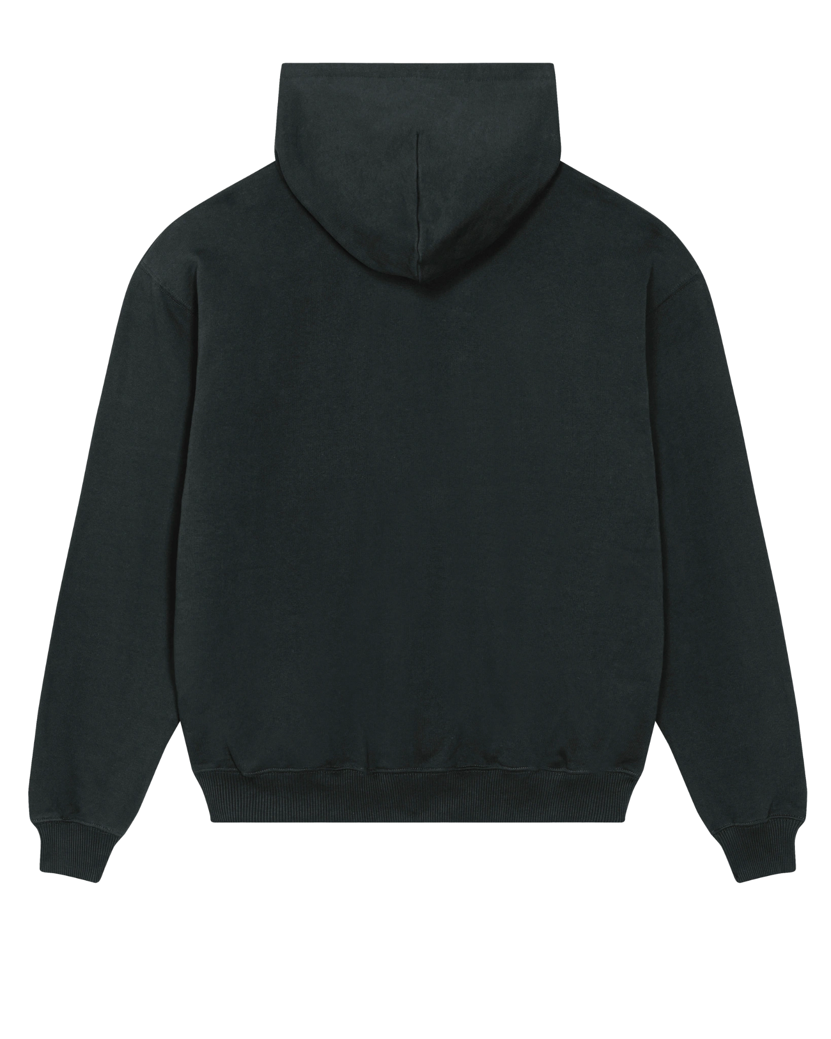 Black twin tiger hoodie flat lay, back view